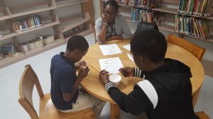 Broward Estates-Healthy-11