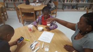 Broward Estates-Healthy-9